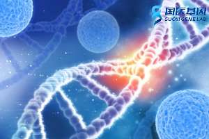 五大連池做一個親子鑒定需要花費多少錢(2025最新價錢參考)
