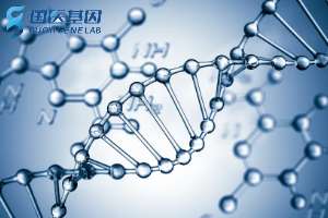 分享！伊春專業常規親子鑒定費用標準一覽表（具體費用標準2025年度已更新）