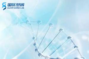 日照各區11大親子鑒定機構及費用（附2025最新鑒定匯總）