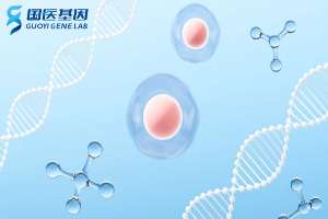 權威！東營9家正規親子鑒定中心一覽（附2025新鑒定所名單）