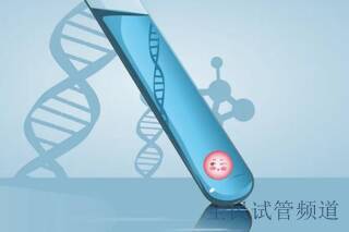 做試管嬰兒備為什么要吃補佳樂
